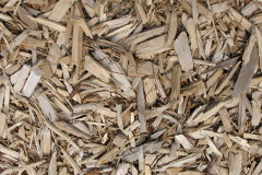 biomass boilers Cotton Stones
